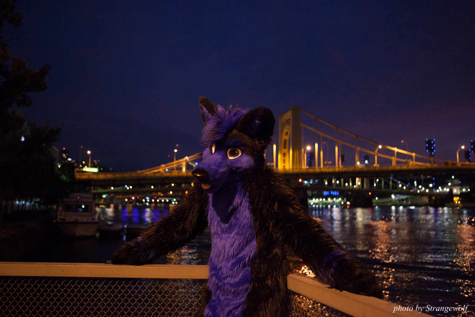 full image IMG_8436-lr16t.jpg