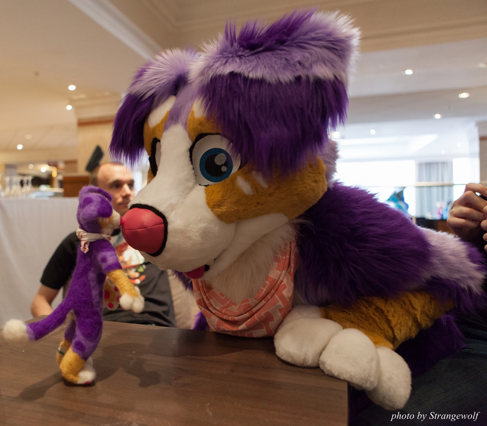 full image IMG_7488-lr16t.jpg