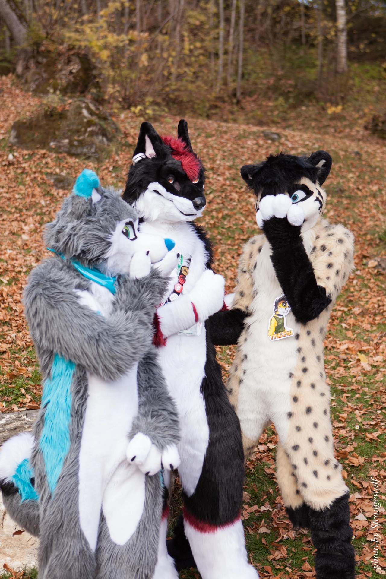 full image IMG_7896-lr19t.jpg