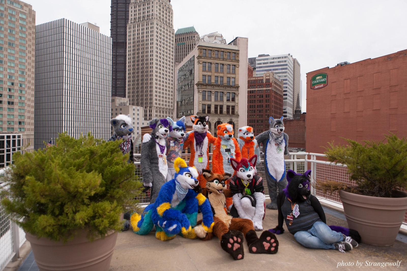 full image IMG_8199-lr16t.jpg