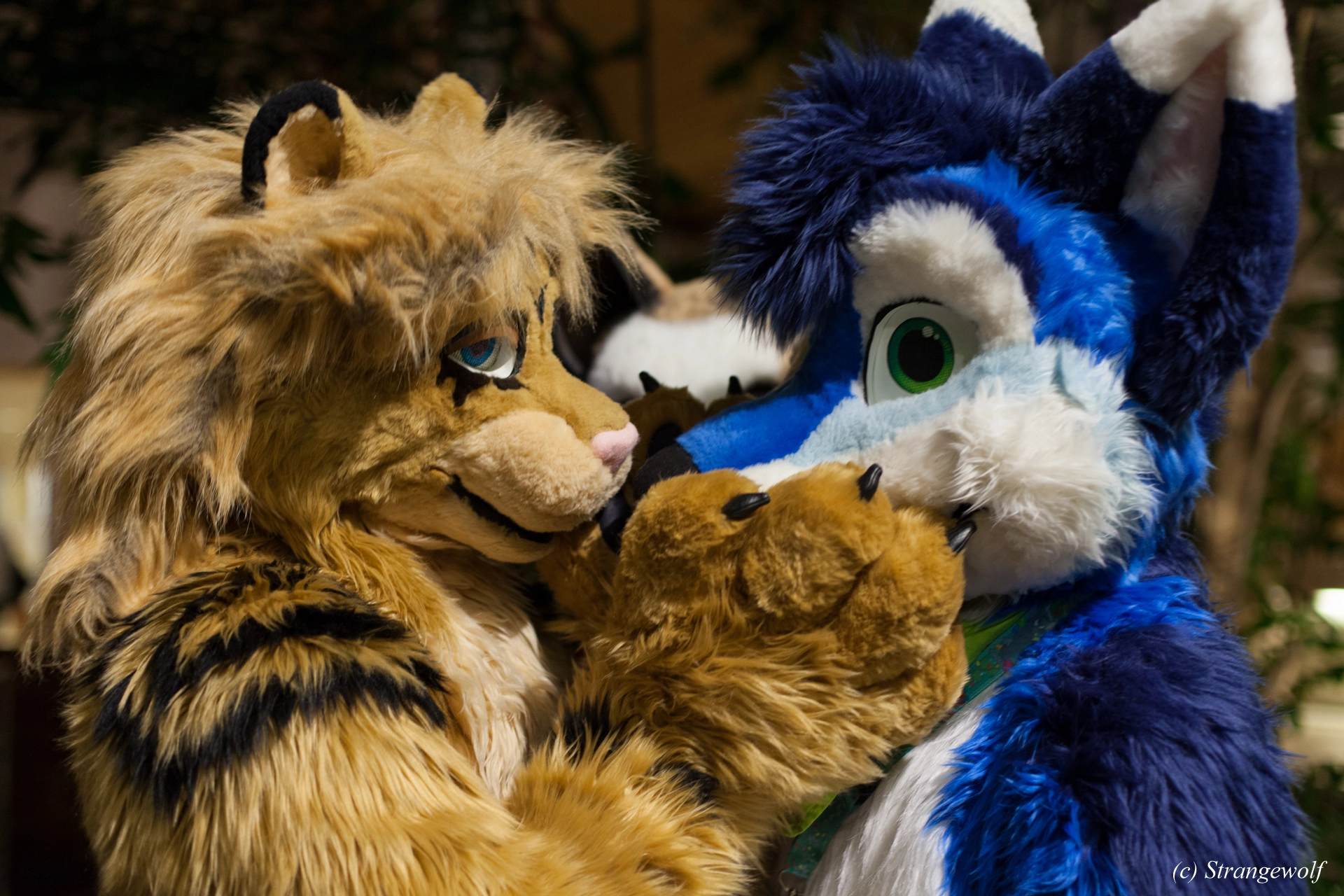 full image IMG_9050-lr19t.jpg