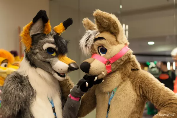 IMG_7573-lr19t.jpg of MFF/MFF2018/