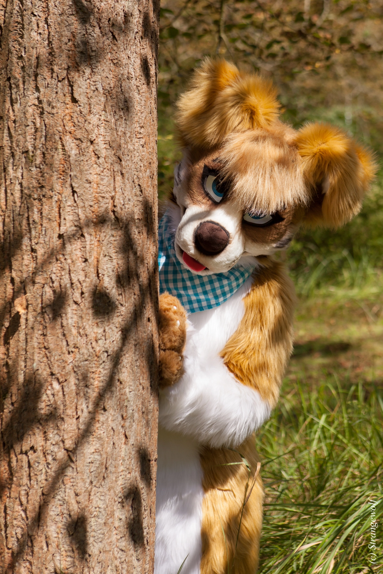full image IMG_6199-lr19t.jpg