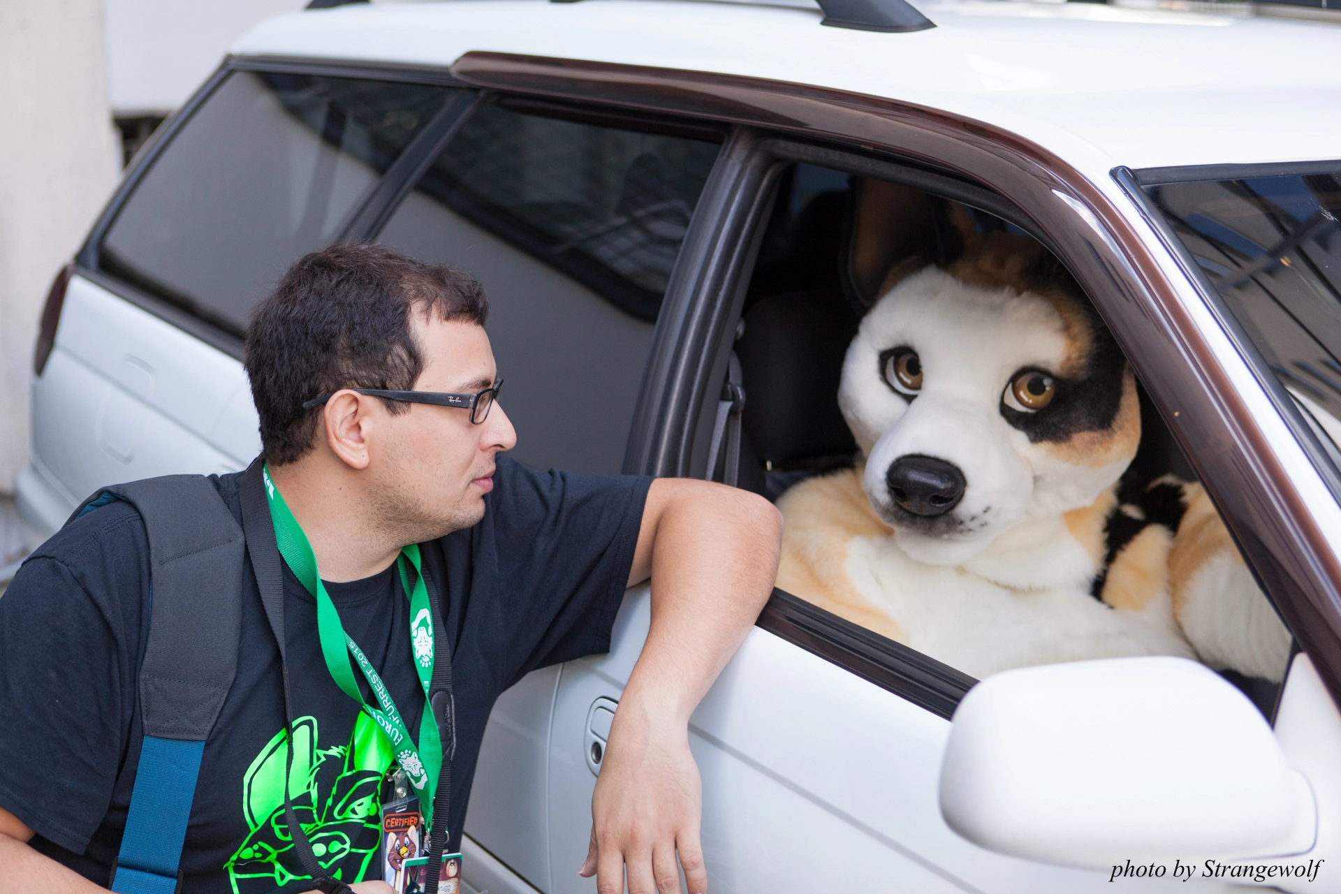 full image IMG_6831-lr19t.jpg