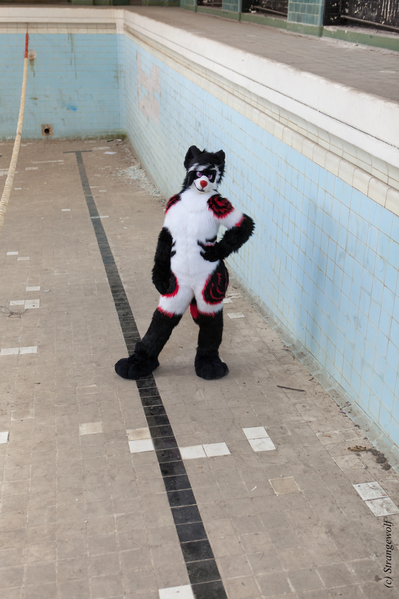 full image IMG_6099-lr19t.jpg