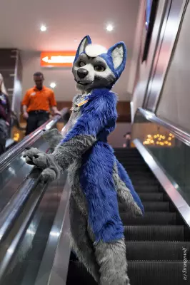IMG_2632-lr19t.jpg of BLFC/2018/
