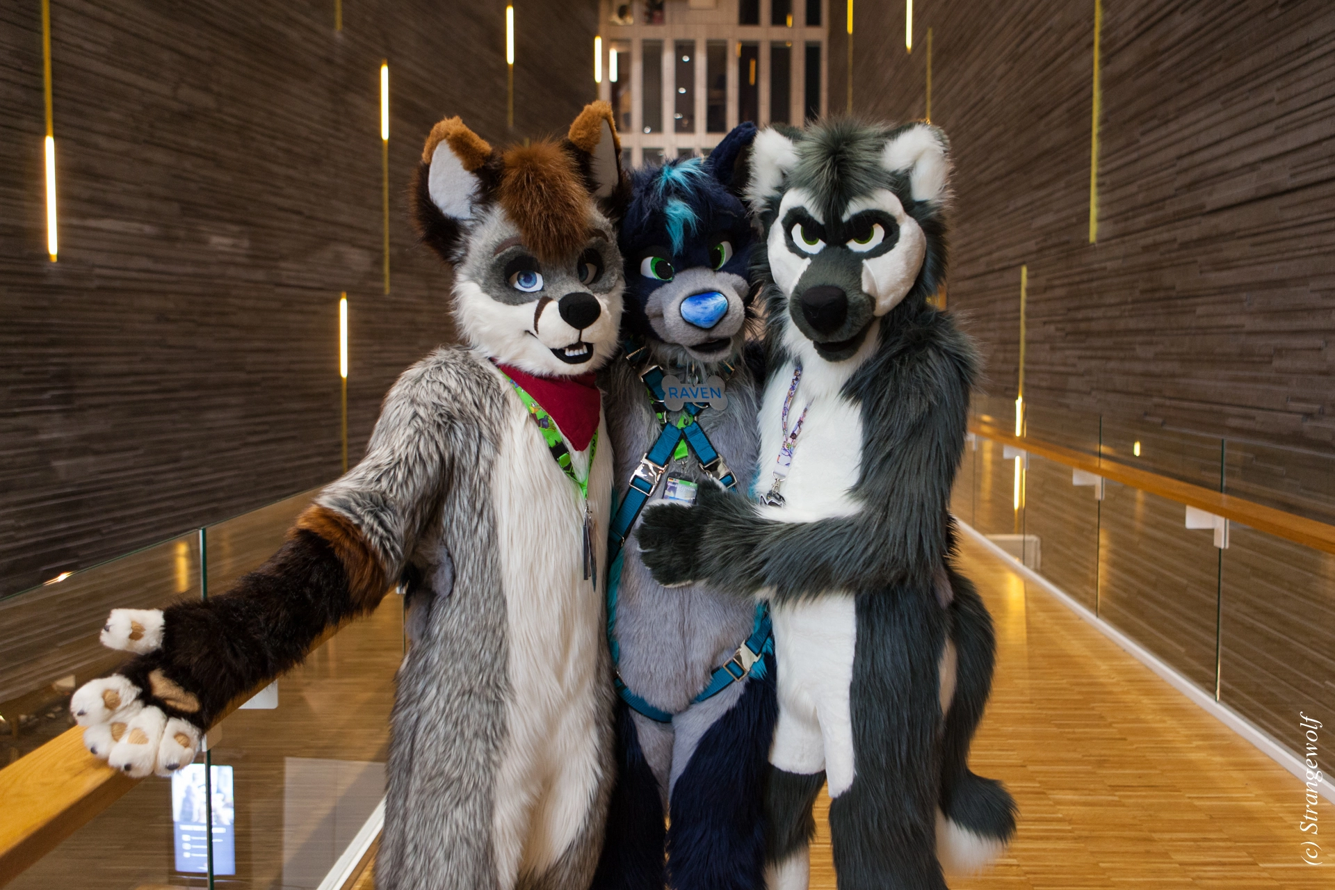 full image IMG_8281-lr19t.jpg