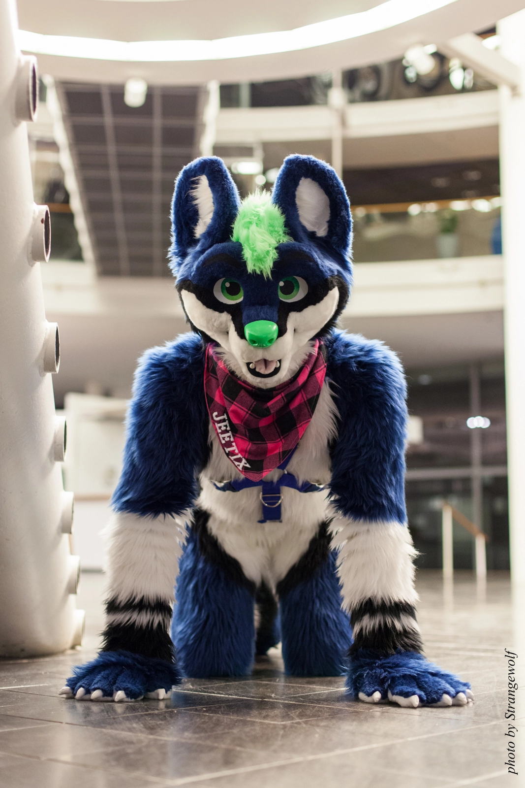 full image IMG_1932-lr16t.jpg