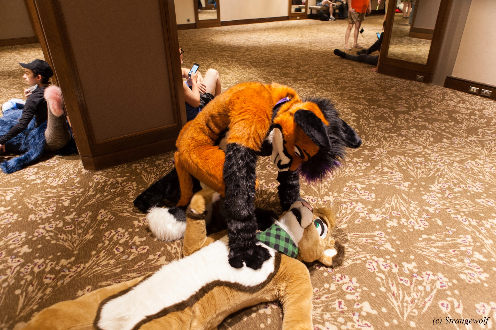 full image IMG_4452-lr19t.jpg