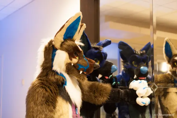 IMG_1420-lr19t.jpg of FWA/FWA2018/