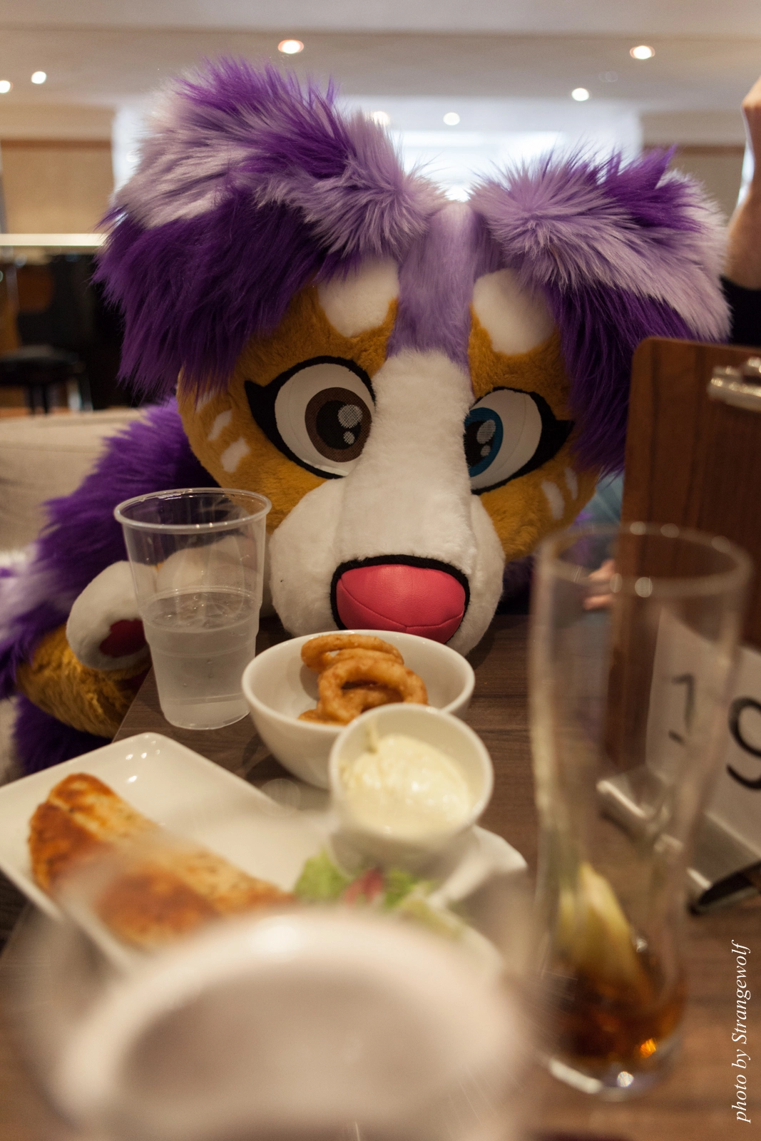 full image IMG_7541-lr16t.jpg