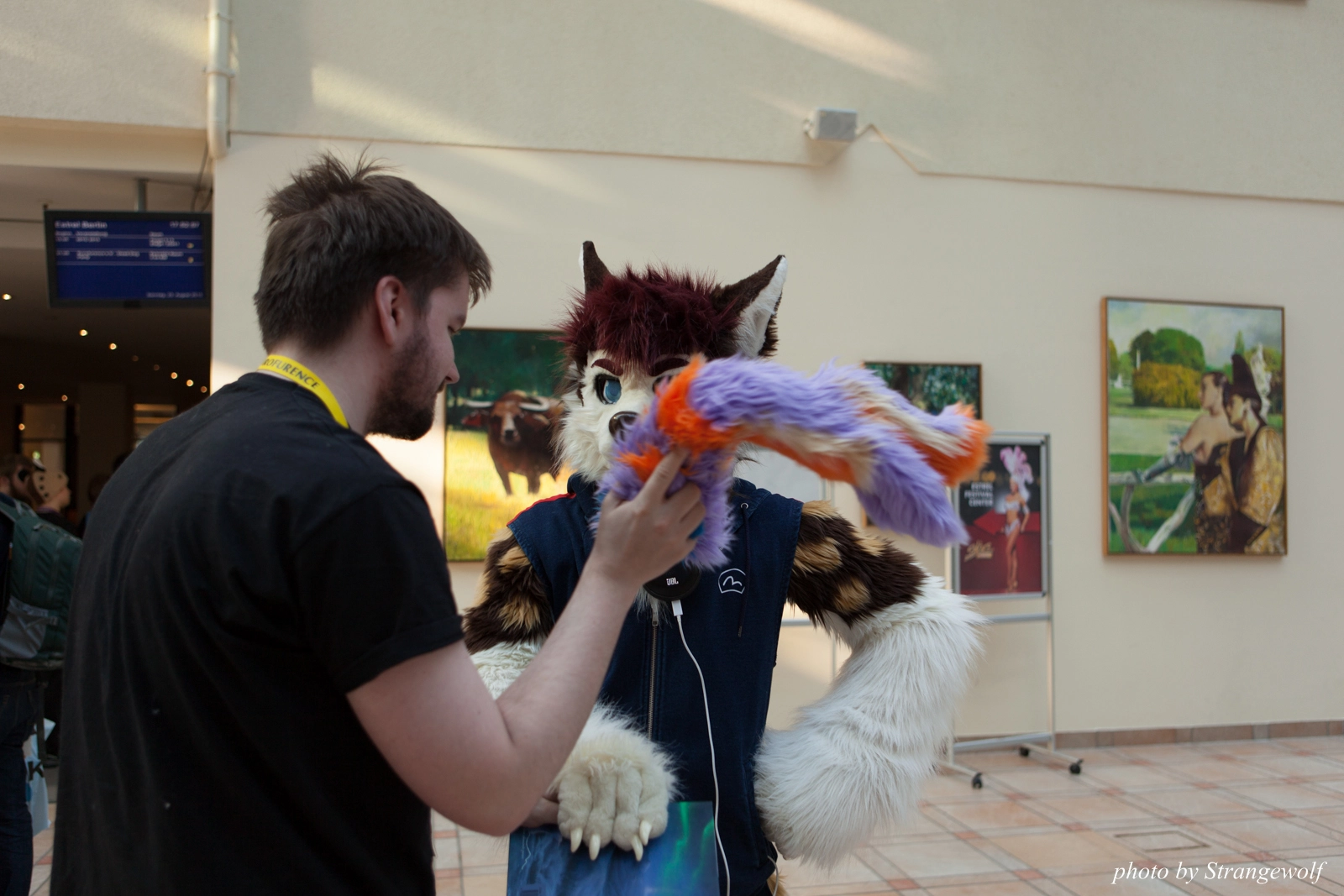 full image IMG_3199-lr16t_.jpg