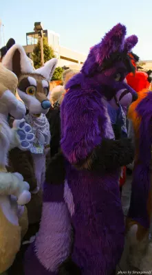 IMG_0722-lr.jpg of MFF/MFF2013/