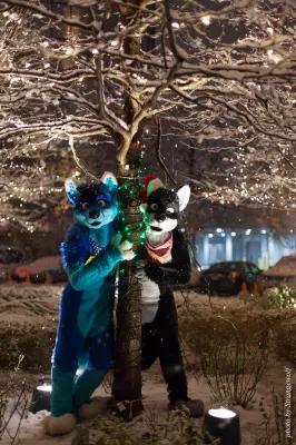 IMG_0849-lr16t.jpg of MFF/MFF2016/
