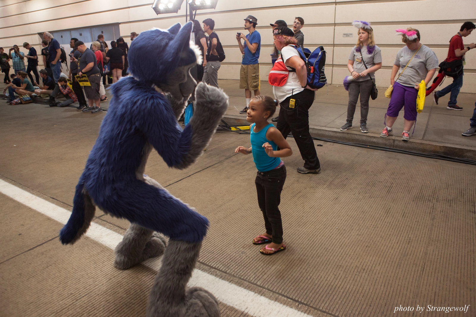 full image IMG_8082-lr16t.jpg