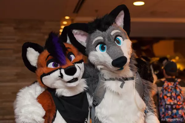IMG_7280-lr19t.jpg of MFF/MFF2018/