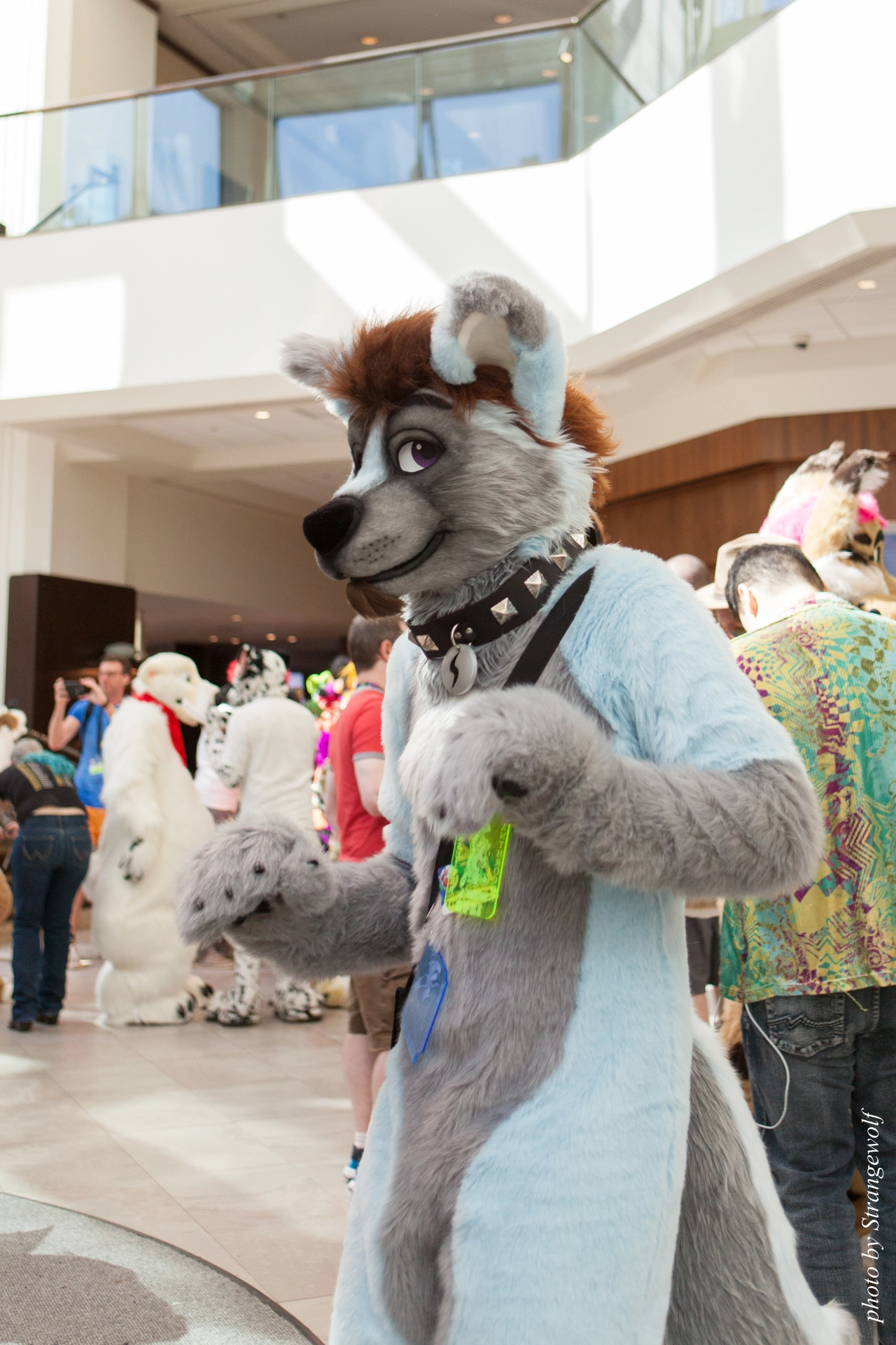 full image IMG_4986-lr19t.jpg