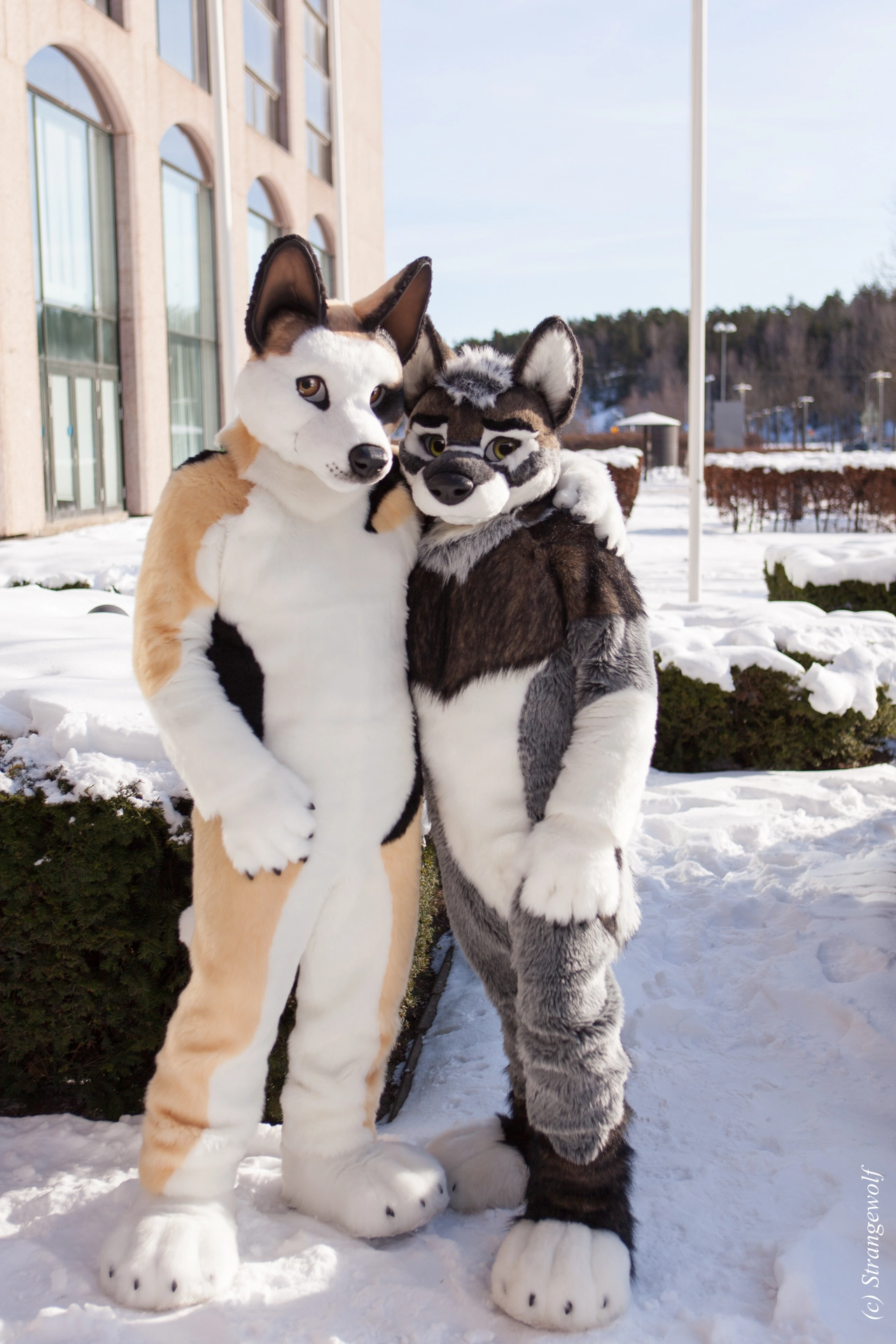 full image IMG_9540-lr19t.jpg