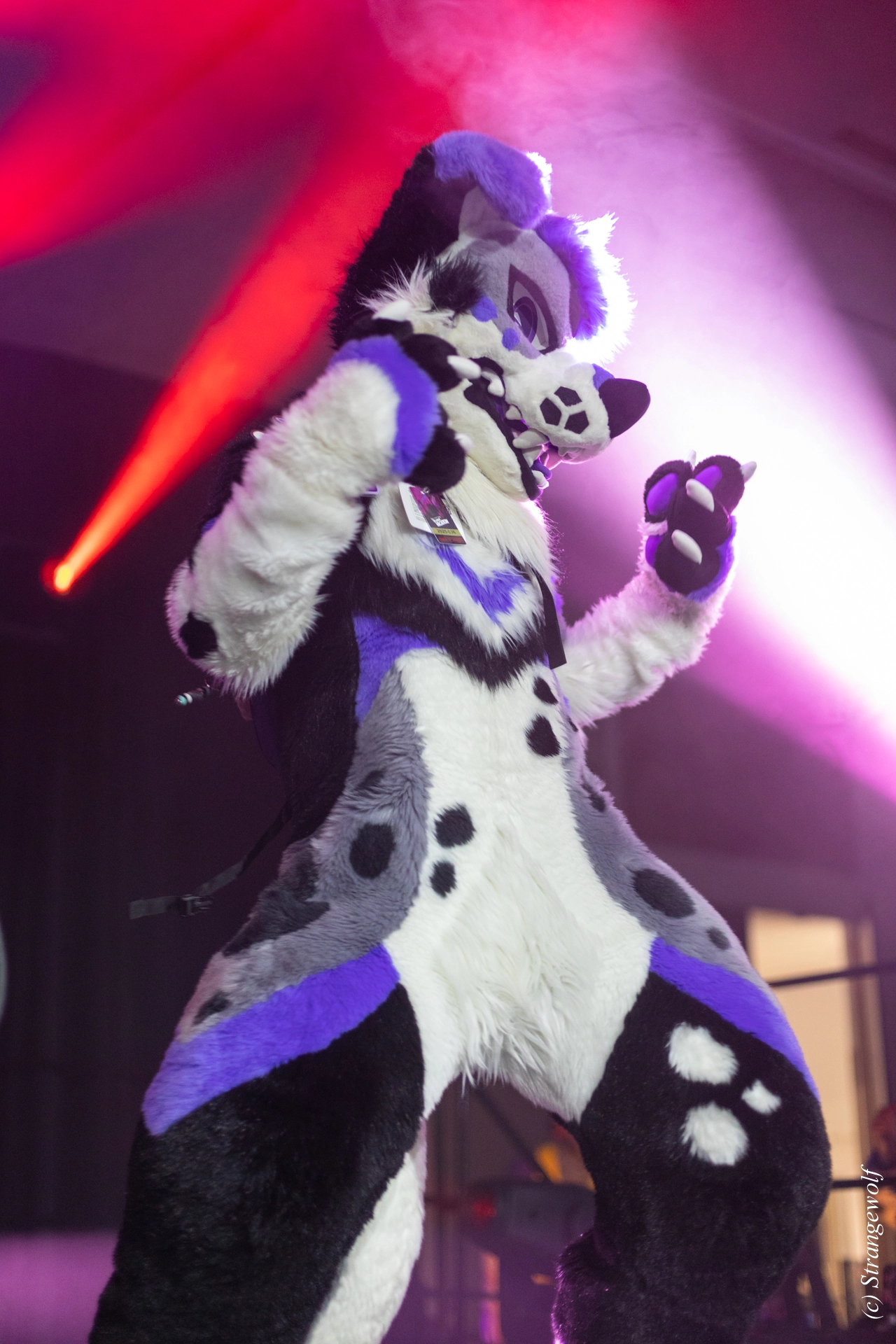 full image 1R3A0735-lr19t.jpg