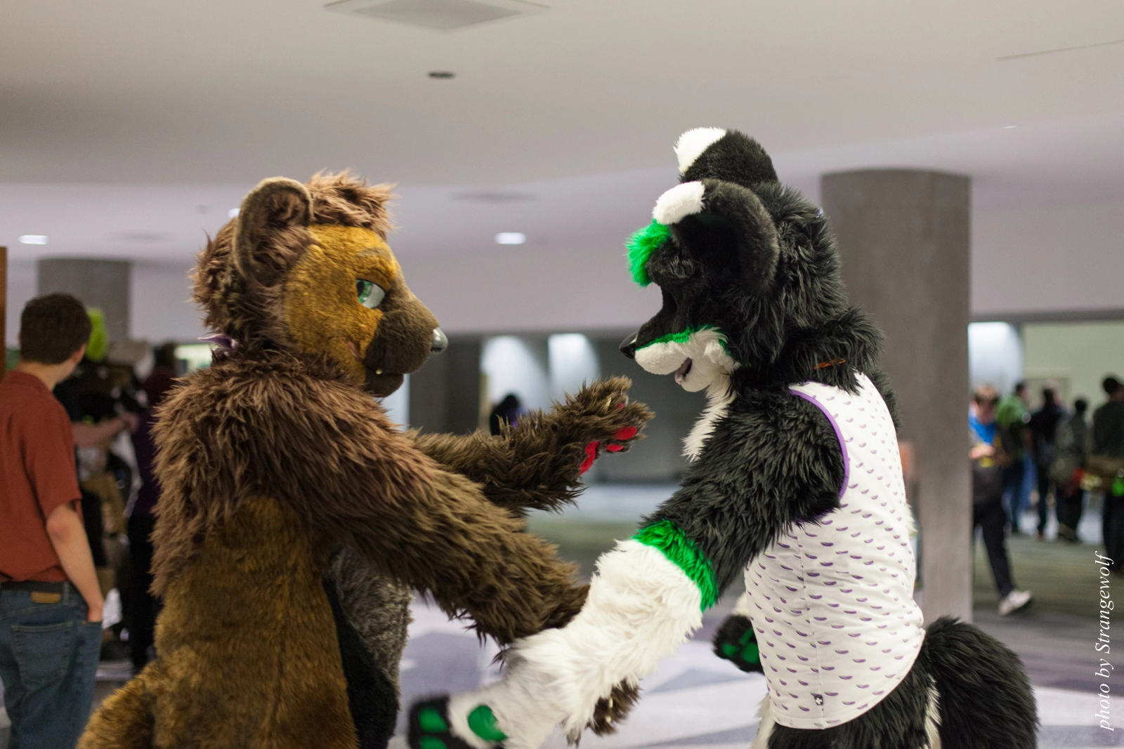 full image IMG_1155-lr16t.jpg