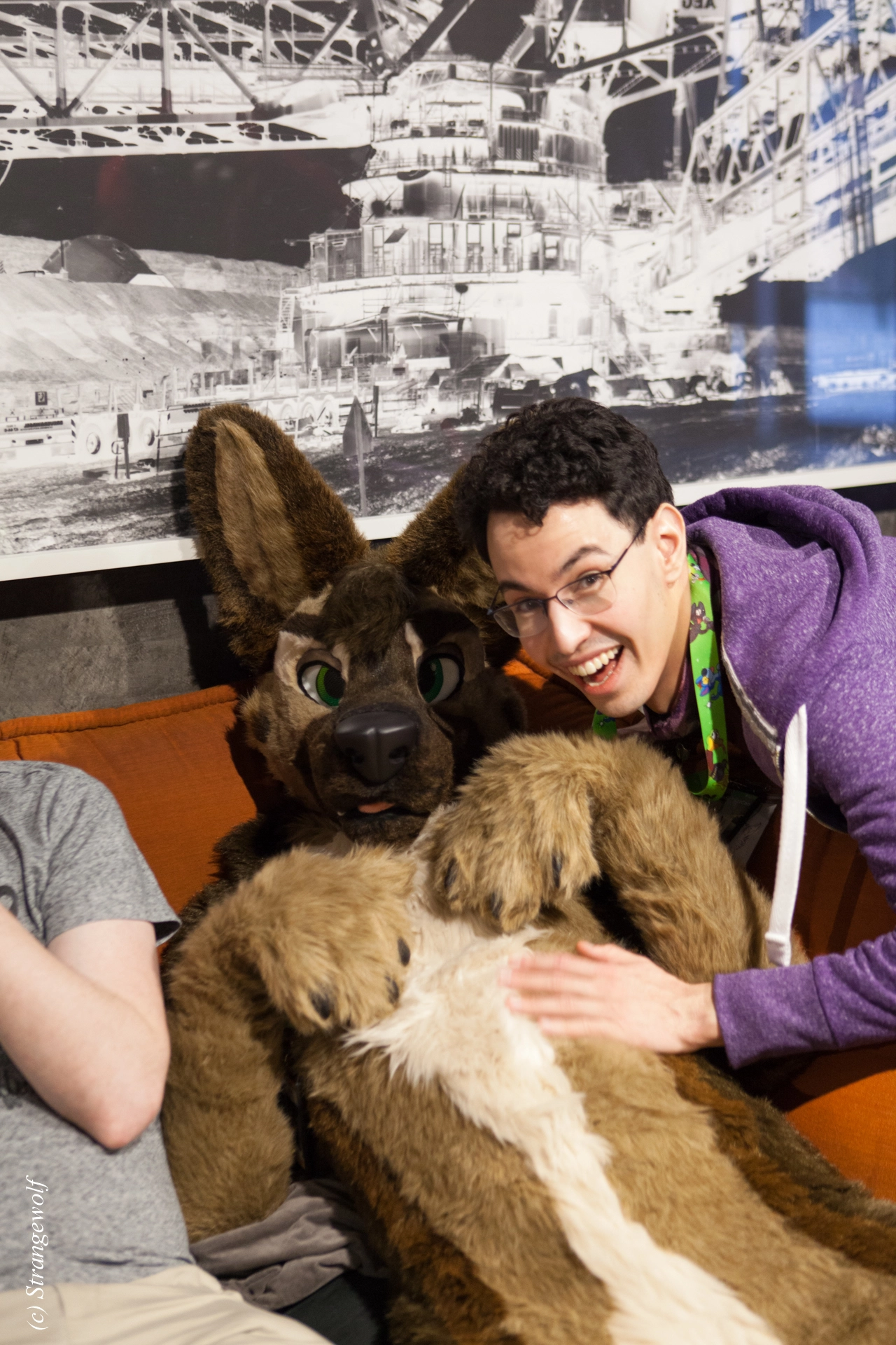 full image IMG_8953-lr19t.jpg