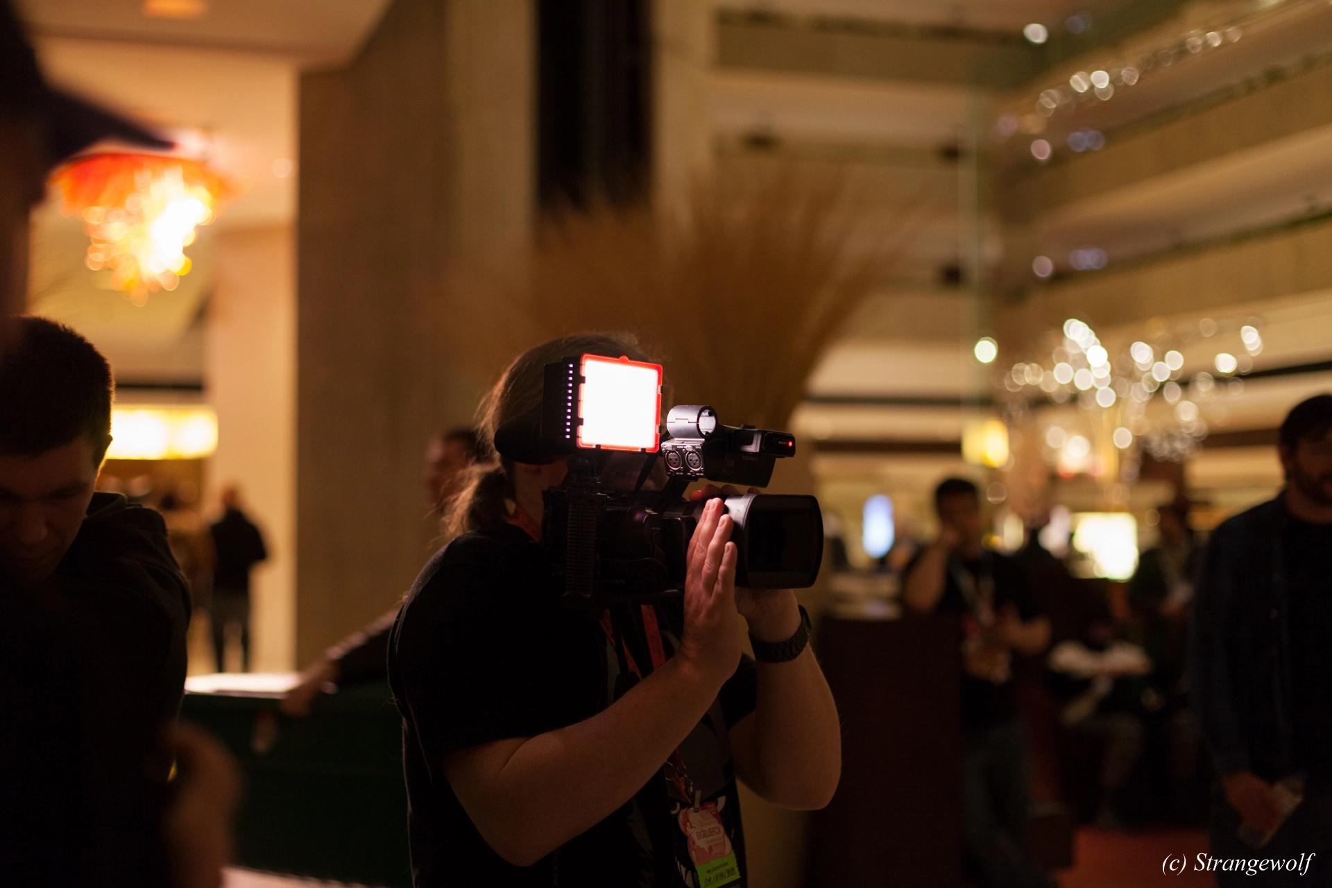 full image IMG_7376-lr19t.jpg