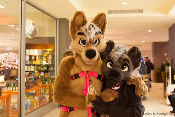 IMG_1292-lr16t.jpg of FC/FC2017/