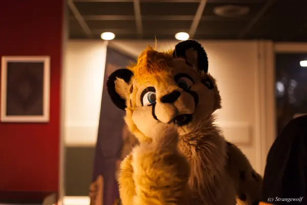 IMG_6943-lr19t.jpg of DFD/DFD2019/