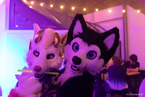 1R3A2680-lr19t.jpg of Furstrike/Furstrike 2022/