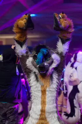 IMG_8032-lr19t.jpg of MFF/MFF2019/