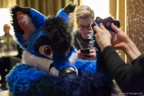 IMG_1565-lr16t.jpg of NFC/NFC2017/