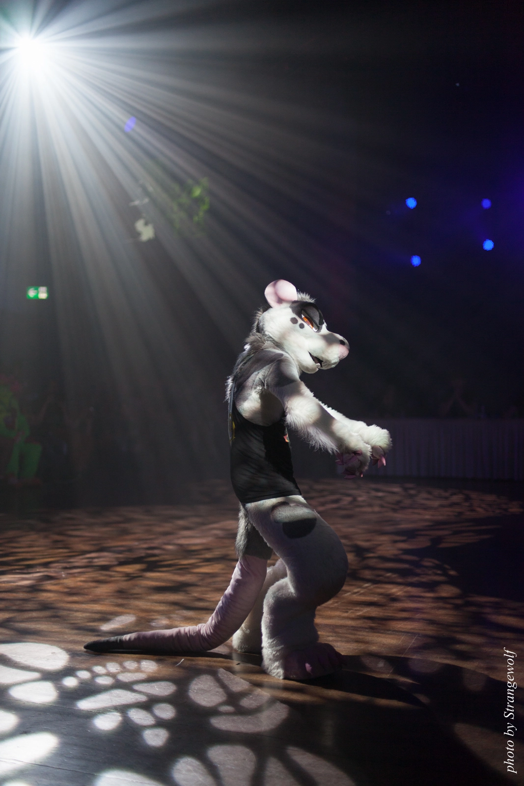 full image IMG_9084-lr16t.jpg