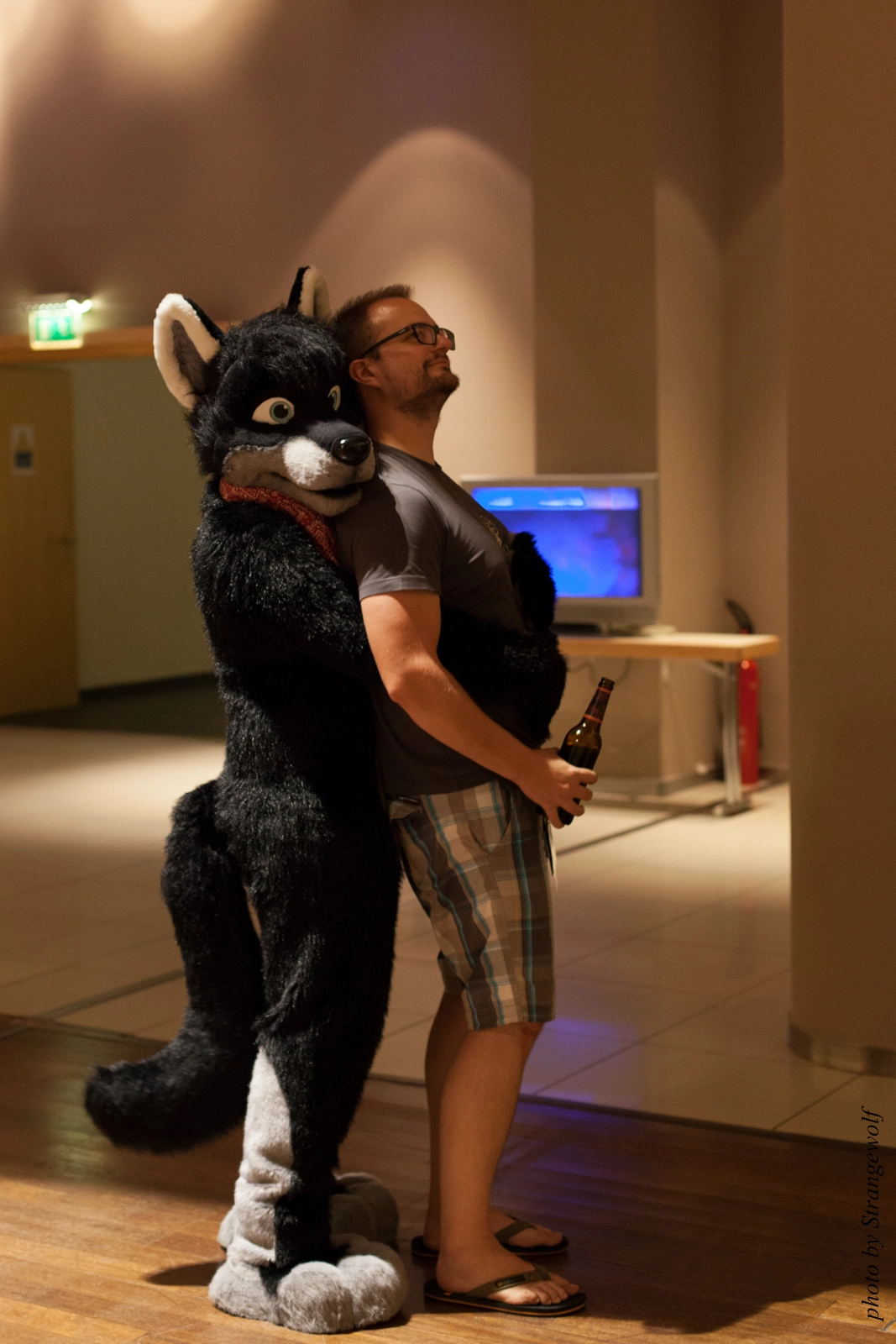 full image IMG_3007-lr16t.jpg