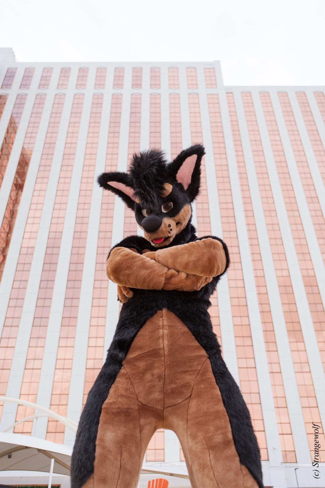 full image IMG_2793-lr19t.jpg
