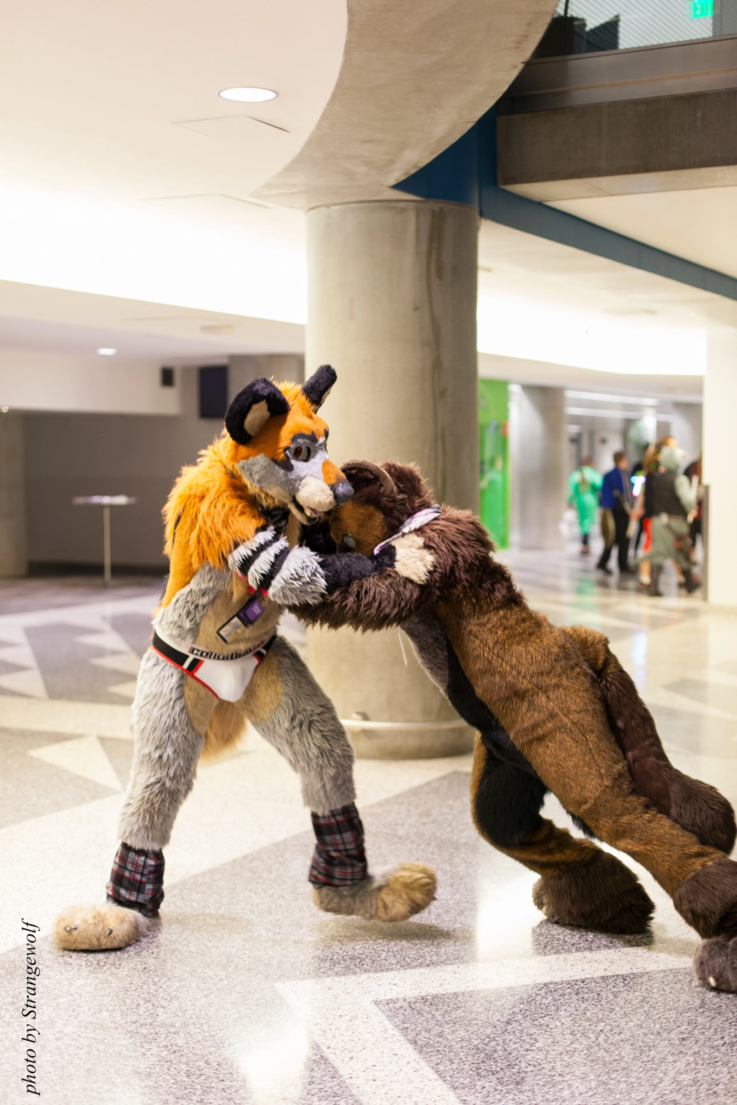 full image IMG_1193-lr16t.jpg