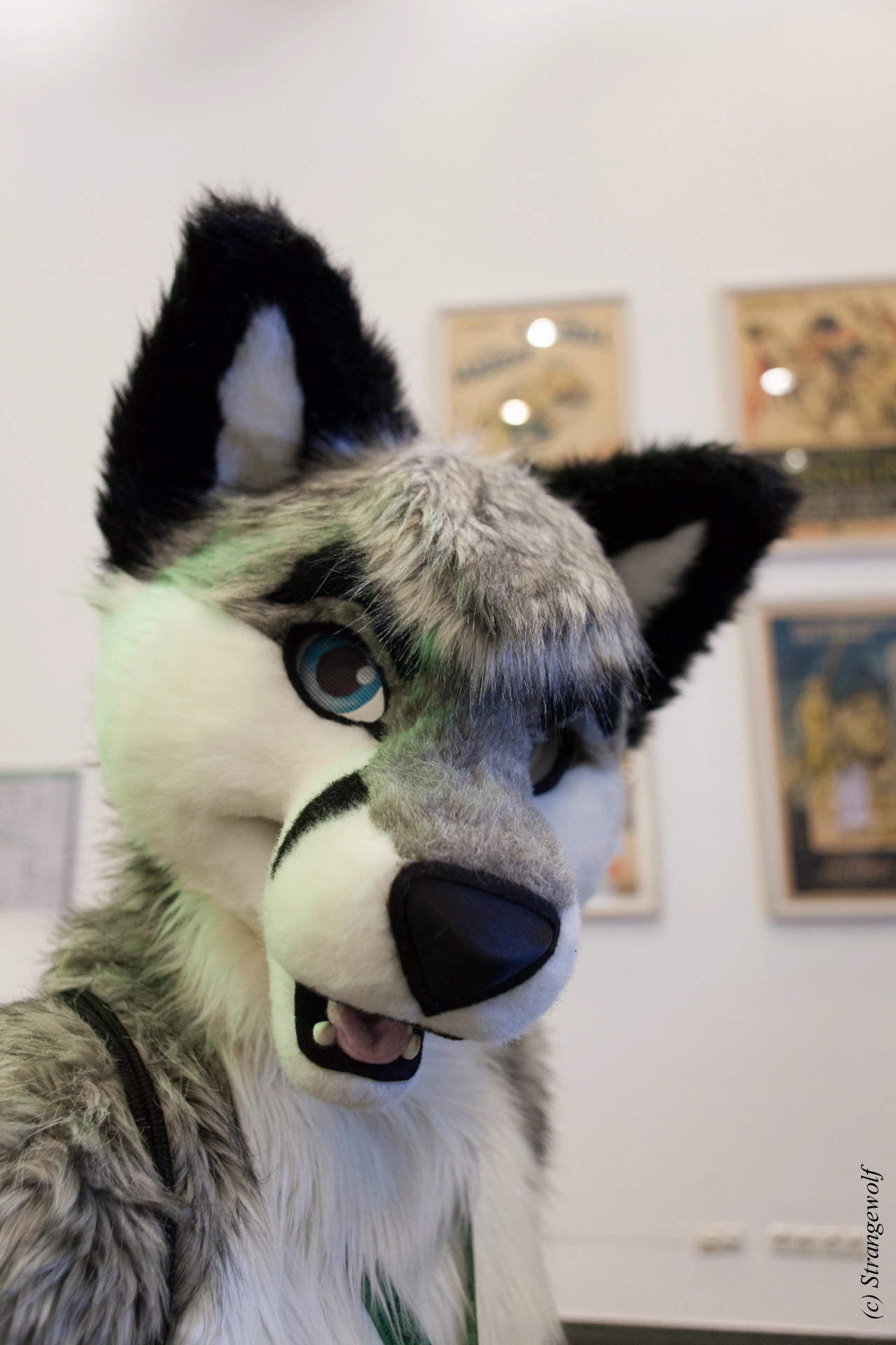 full image IMG_5124-lr19t.jpg