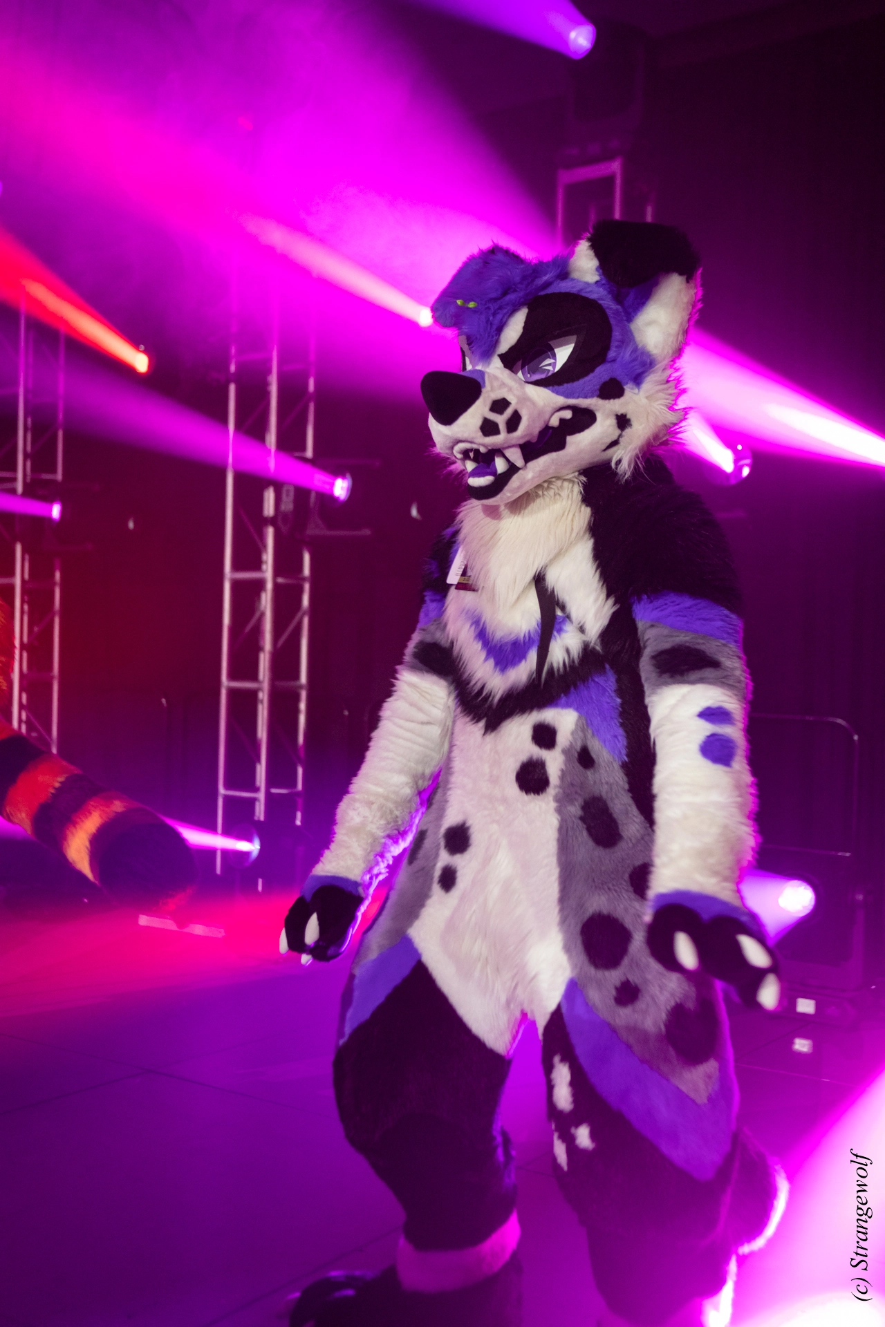 full image 1R3A0846-lr19t.jpg