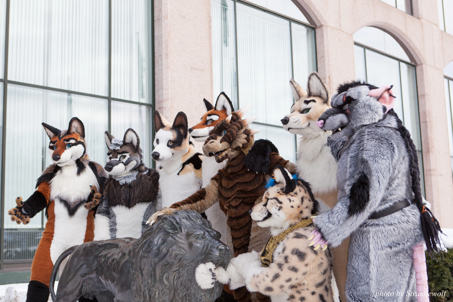 full image IMG_0280-lr19t.jpg