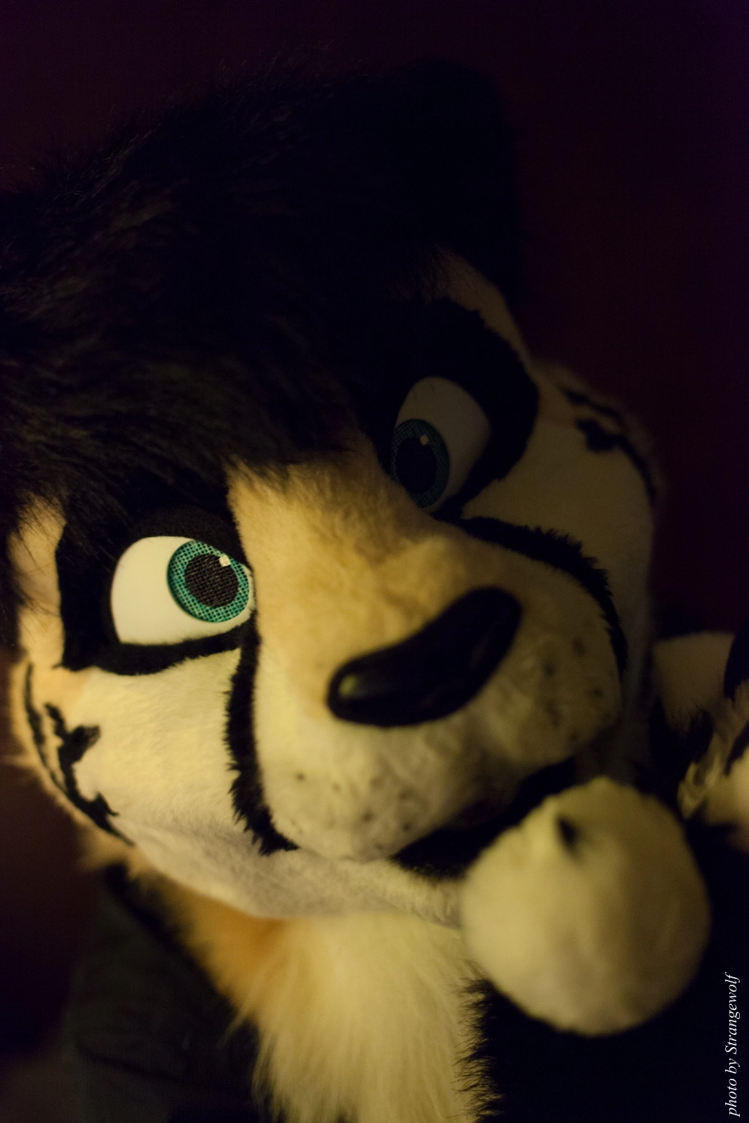 full image IMG_1227-lr16t.jpg