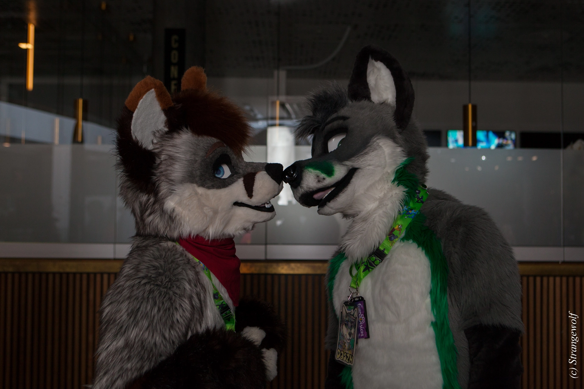 full image IMG_8232-lr19t.jpg