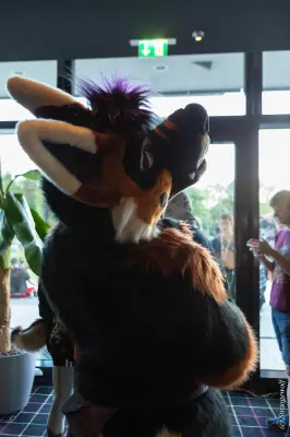 1R3A9372-lr19t.jpg of EF/EF29/