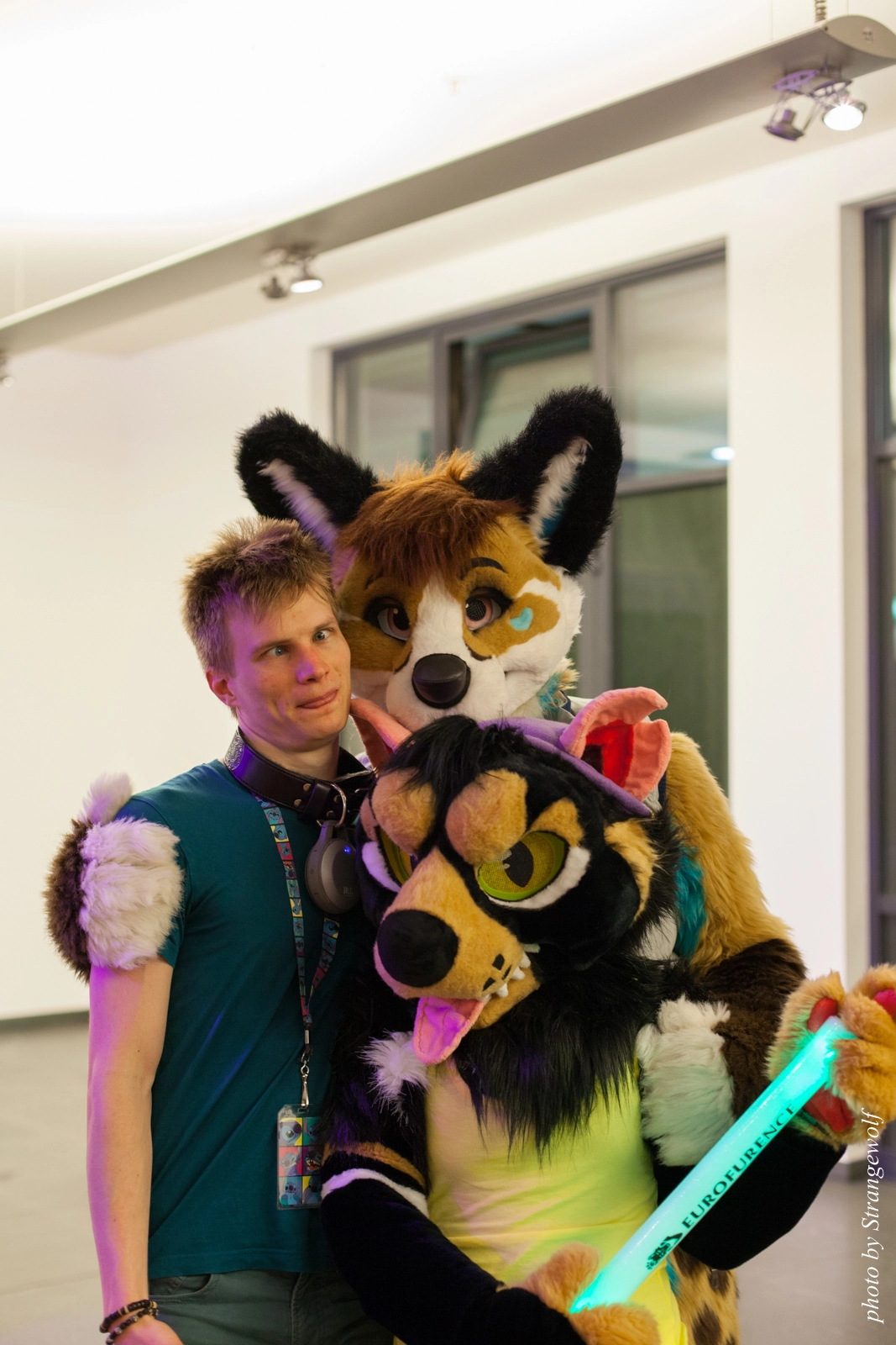 full image IMG_0254-lr16t.jpg