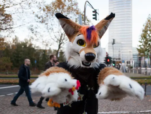 IMG_5342-lr16t.jpg of CFD/CFD14/