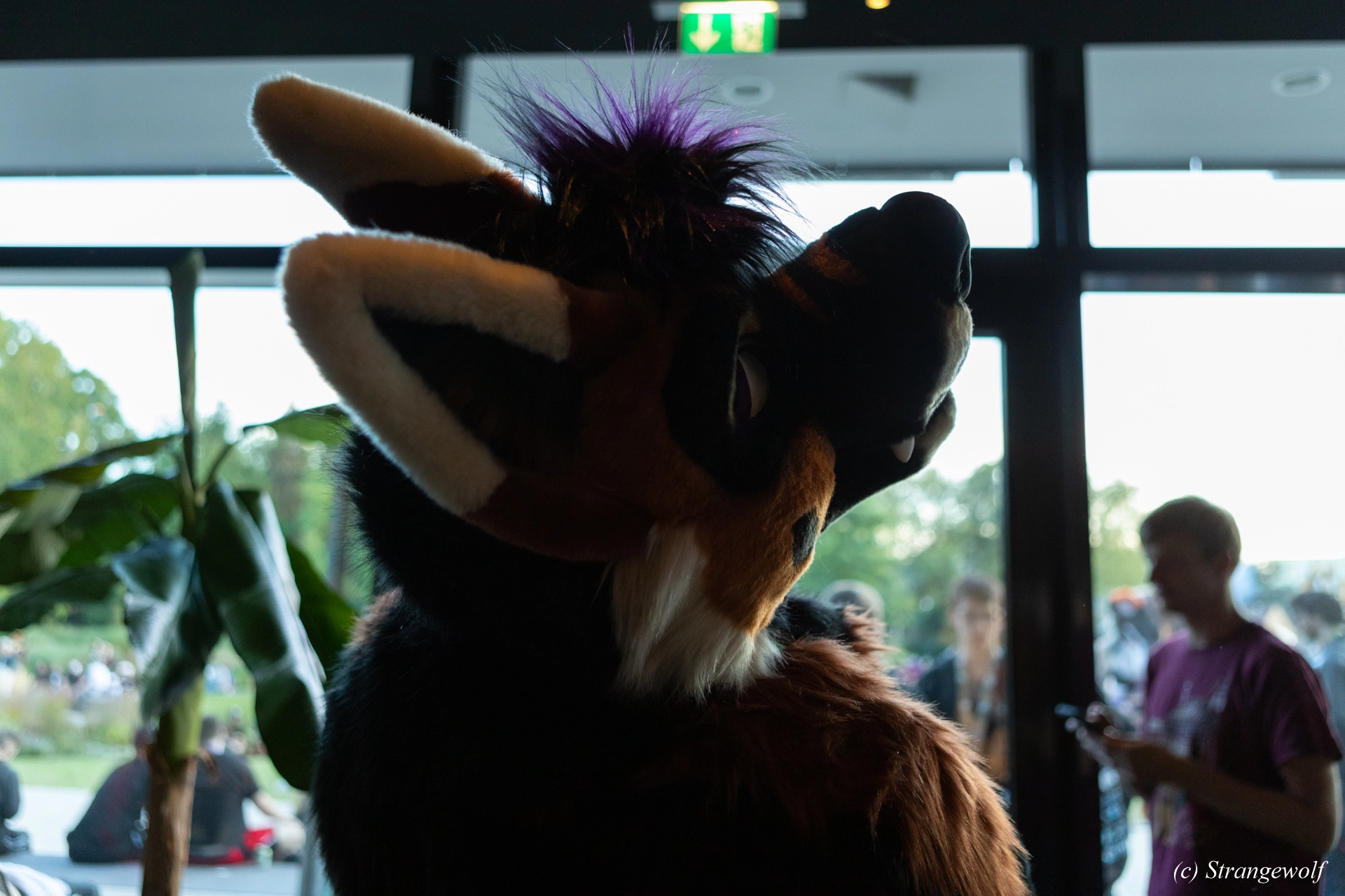 full image 1R3A9374-lr19t.jpg