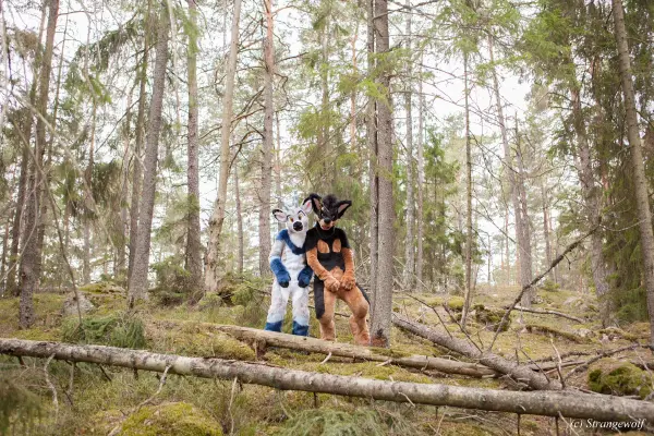 IMG_8528-lr19t.jpg of NFC/NFC2019/Shoot-Strife_Carlito/