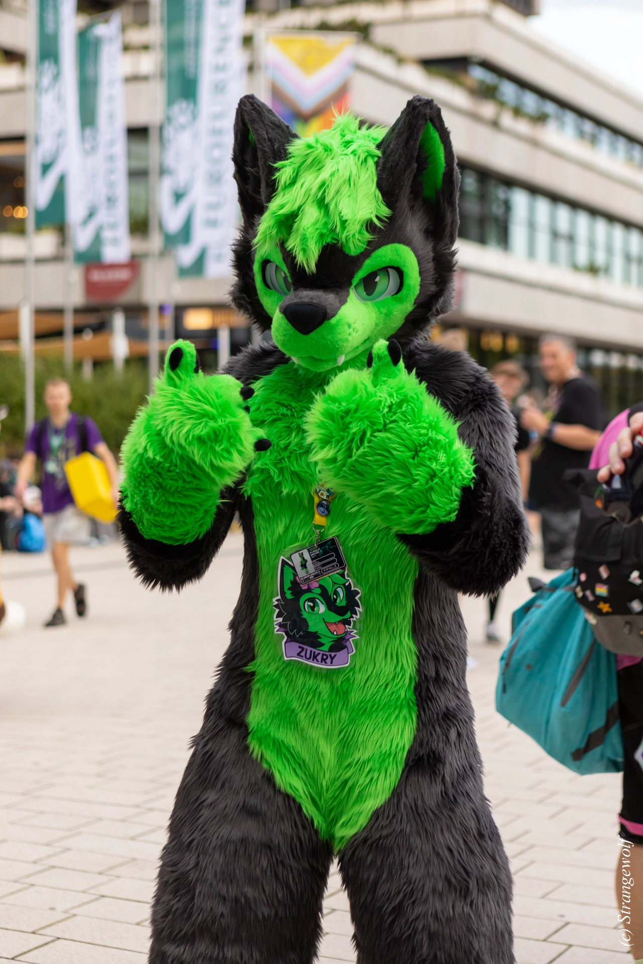 full image 1R3A9087-lr19t.jpg