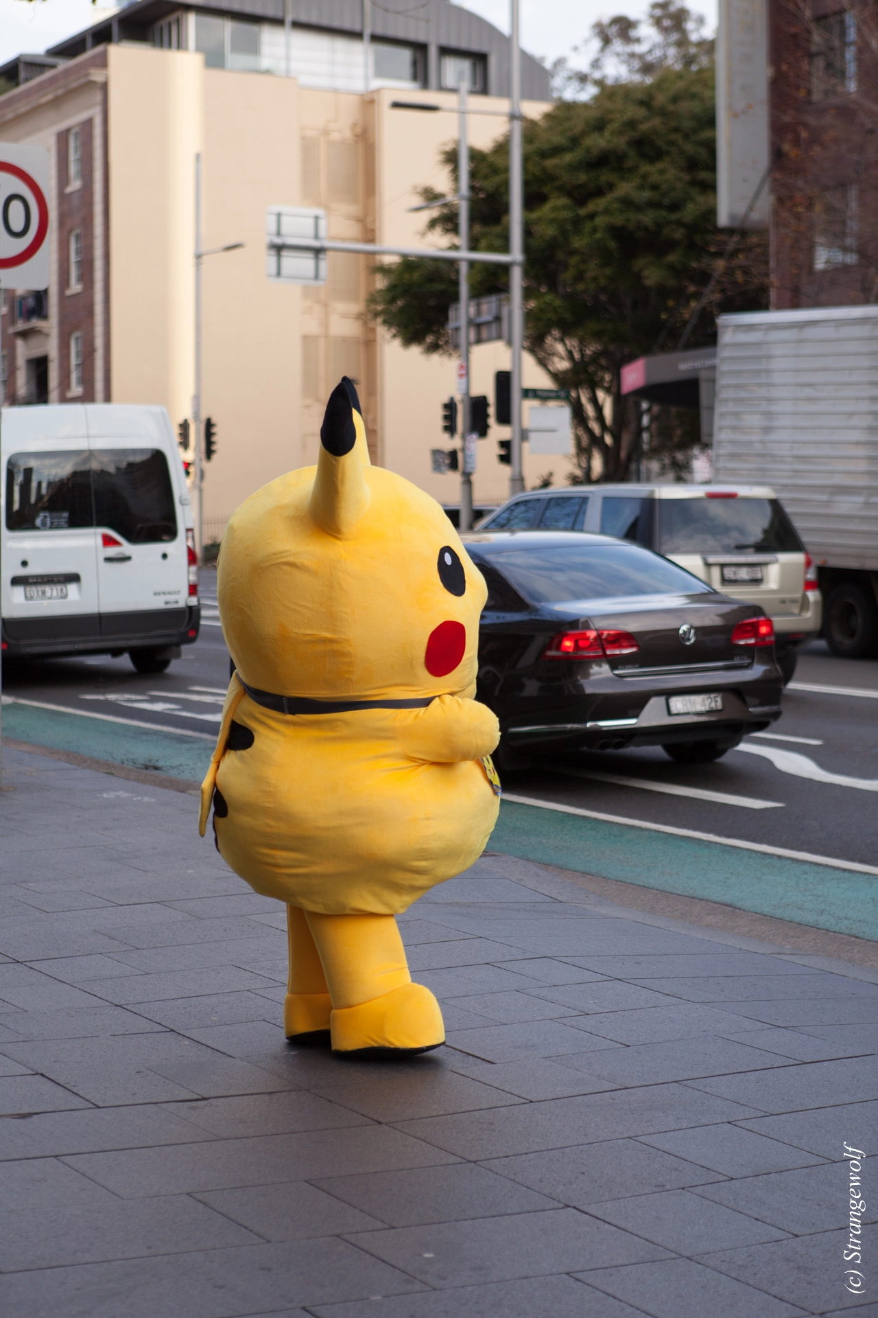 full image IMG_4583-lr19t.jpg