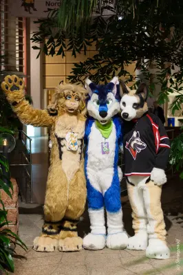 IMG_9038-lr19t.jpg of NFC/NFC2019/Shoot-Defus/