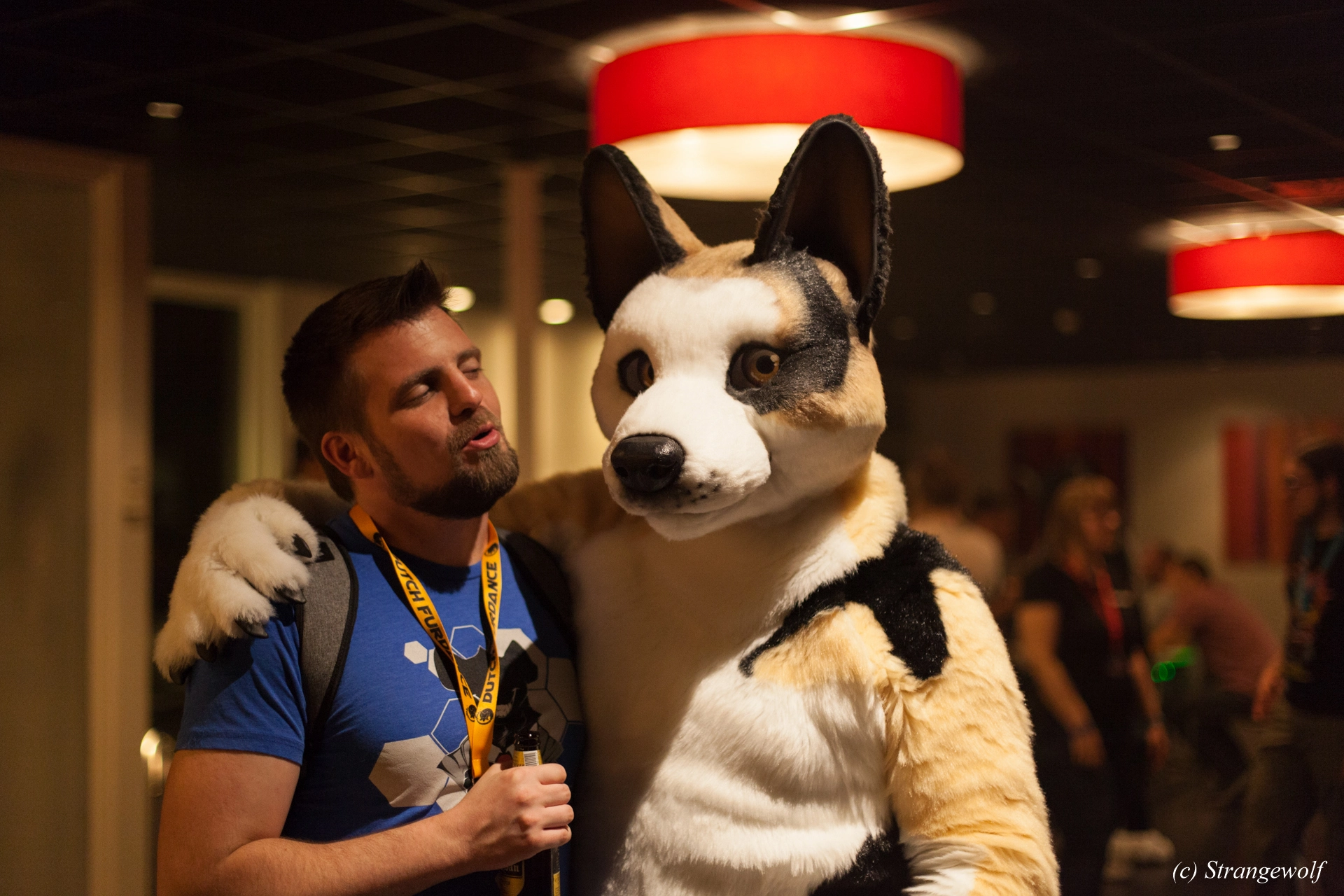 full image IMG_6374-lr19t.jpg