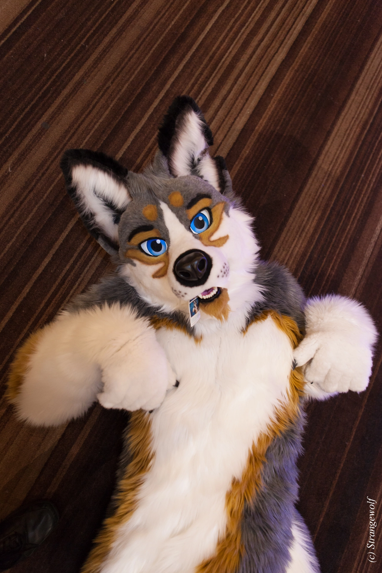 full image IMG_1944-lr19t.jpg